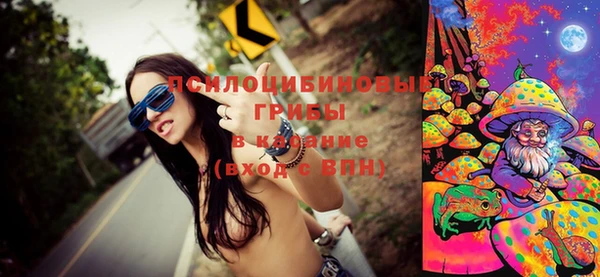 индика Семилуки