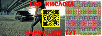 трава Кандалакша