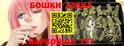 амф Камышлов