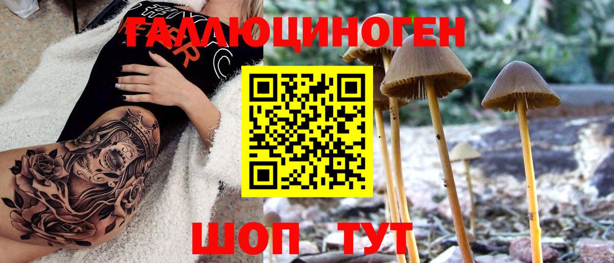 Наро-Фоминск  Псилоцибиновые грибы мухоморы  Вход с VPN 