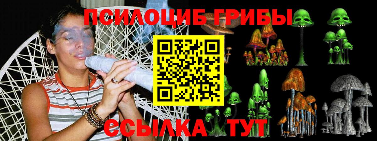 Псилоцибиновые грибы Psilocybine cubensis  Галлюциногенные грибы Psilocybe  Наро-Фоминск 